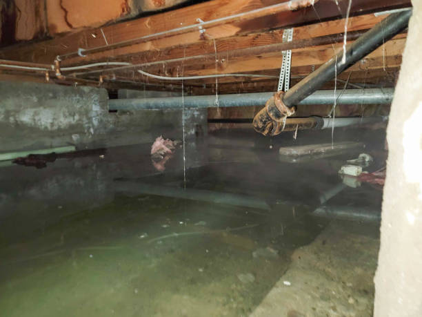Best Sewage cleanup and water damage restoration  in Oaklyn, NJ