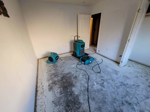 Best Water damage contractors near me  in Oaklyn, NJ