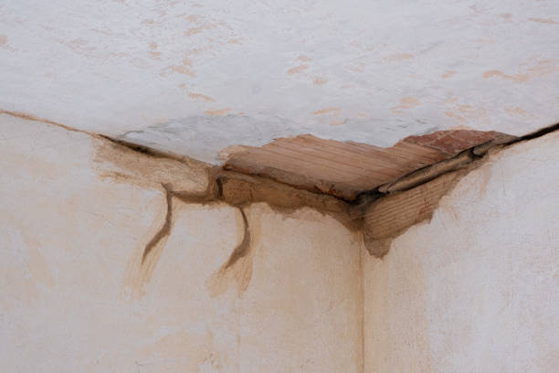Water damage restoration experts in Oaklyn, NJ