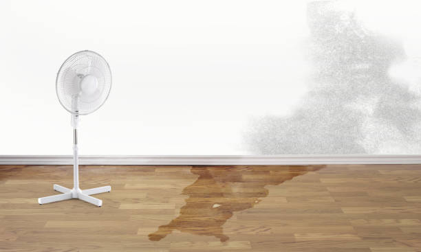 Carpet water damage restoration in Oaklyn, NJ
