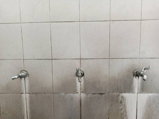 Best Local water damage restoration  in Oaklyn, NJ