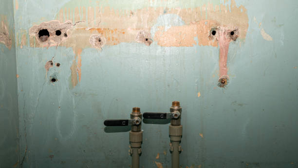 Best Carpet water damage restoration  in Oaklyn, NJ
