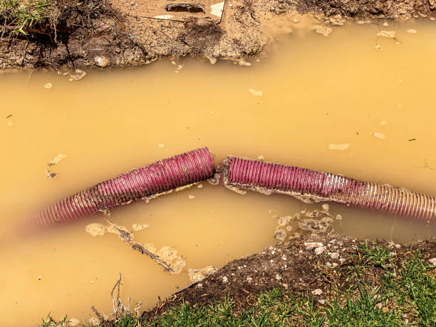 Best Flood damage cleanup  in Oaklyn, NJ