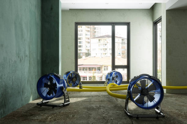 Best Mold removal after water damage  in Oaklyn, NJ